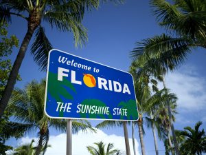 Read more about the article Top 4 Things Attacking Your Florida Panhandle Home