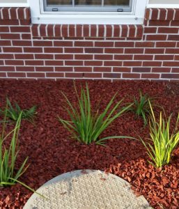 Soft Washed Brick Home