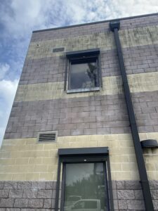 Top 5 Ways Mold Can Ruin The Exterior Of Your Florida Panhandle Home 3