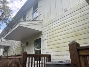 Top 5 Ways Mold Can Ruin The Exterior Of Your Florida Panhandle Home 2