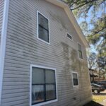 Top 5 Ways Mold Can Ruin The Exterior Of Your Florida Panhandle Home