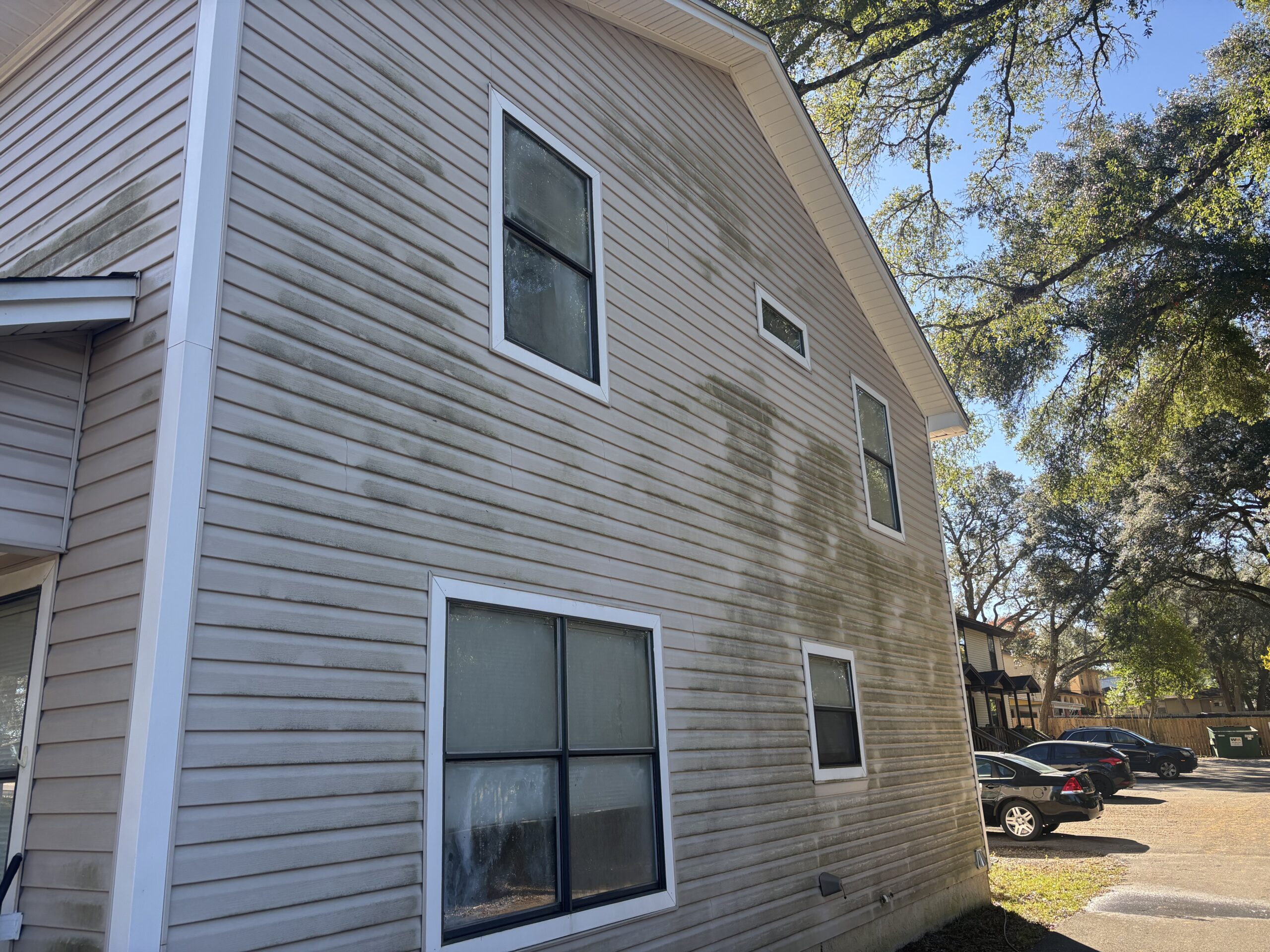 Top 5 Ways Mold Can Ruin The Exterior Of Your Florida Panhandle Home